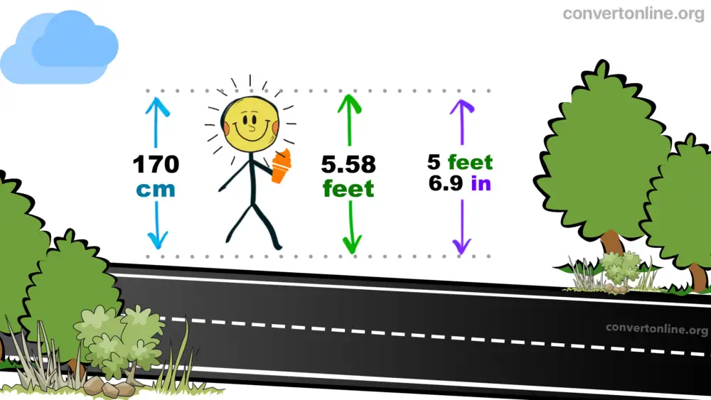 170 cm in ft hotsell